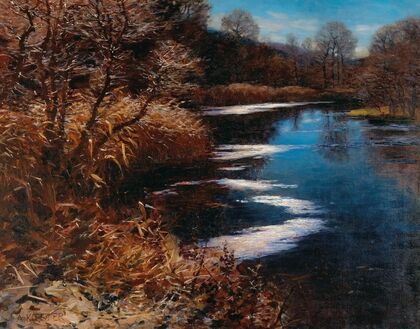 An oxbow lake, Brixen