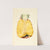 Ananas comosus: Pineapple by James Marion Shull