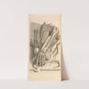 Anatomia humani corporis Pl.072 by Gerard de Lairesse