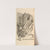 Anatomia humani corporis Pl.072 by Gerard de Lairesse
