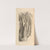 Anatomia humani corporis Pl.076 by Gerard de Lairesse