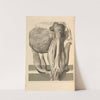 Anatomia humani corporis Pl.078 by Gerard de Lairesse