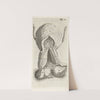 Anatomical illustration of the vagina and the uterus. (1672) by Hendrik Bary