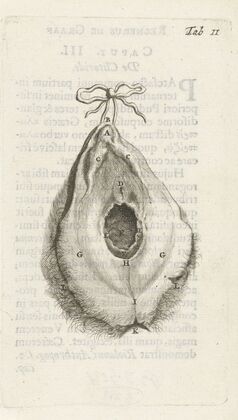 Anatomical illustration of the vagina (1672)