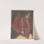 Anatomical representation of the back, Michel Duplain by Jacques Fabien Gautier d&#039;Agoty