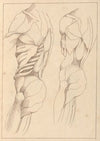 Anatomical Studies of a Body