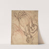 Anatomical Studies of a Leg by School of Michelangelo Buonarroti