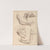 Anatomical Studies of Arms and Shoulders by Hamlet Winstanley