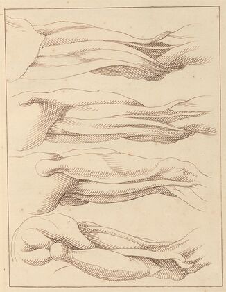 Anatomical Studies of Legs.