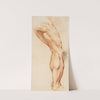 Anatomical Study (écorché). A man’s flayed right leg seen from the back, turned to the right (1628 – 1630) by Willem Panneels