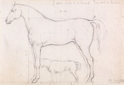 Anatomical Study of a Horse, Founded on `Eclipse’, Nov. 26, 1832 — size preview
