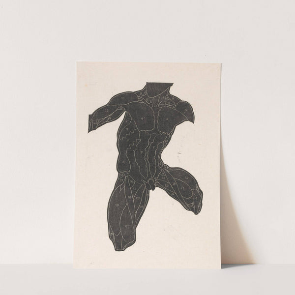 Anatomical study of the neck, abdominal and thigh muscles of a man in silhouette by Reijer Stolk