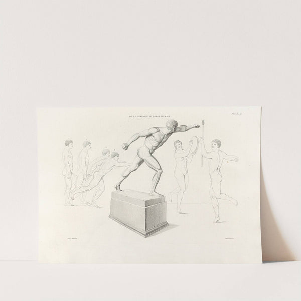 Anatomie du gladiateur combattant Pl.19 (1812) by Jean-Galbert Salvage