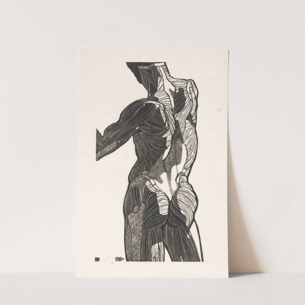 Anatomische studie van de rug- en bilspieren van een man by Reijer Stolk