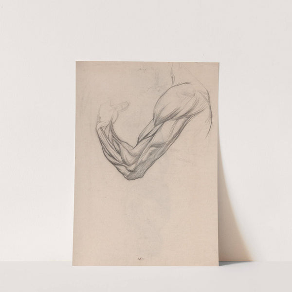 Anatomische studie van de spieren van een rechterarm by Jan Veth