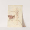 Anatomy by Thomas Sheraton