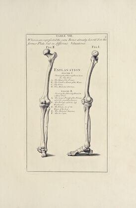 Anatomy improv’d and illustrated with regard to the uses thereof in designing Pl.08