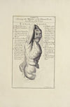 Anatomy improv’d and illustrated with regard to the uses thereof in designing Pl.11