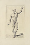Anatomy improv’d and illustrated with regard to the uses thereof in designing Pl.21
