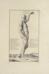 Anatomy improv’d and illustrated with regard to the uses thereof in designing Pl.22