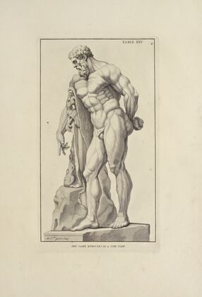 Anatomy improv’d and illustrated with regard to the uses thereof in designing Pl.25