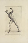 Anatomy improv’d and illustrated with regard to the uses thereof in designing Pl.31