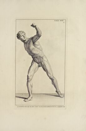 Anatomy improv’d and illustrated with regard to the uses thereof in designing Pl.31