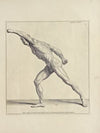 Anatomy improv’d and illustrated with regard to the uses thereof in designing Pl.35
