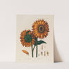 Anatomy of the Sunflower (1799–1810) by Robert John Thornton