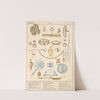Ancient Greece - Adomments by Paul Louis de Giafferri