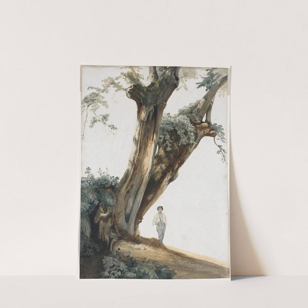 Ancient Trees in the Roman Campagna by Giovanni Costa