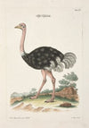 Angenehmer und nützlicher Zeit-Vertreib Pl.060 (1748)