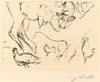 Animal Studies (Verschiedene Tierstudien)