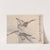 Animals, Flowers and Birds Pl.8 (19th century) by Ren Yi
