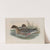 Anser brachyrhynchus (1862-1873) by John Gould