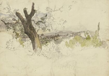 Ansicht von Florenz vom Monte Oliveto