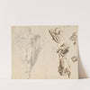 Apollo and Studies of the Artist’s Own Hand (recto) (1730-1732) by Francesco Fontebasso