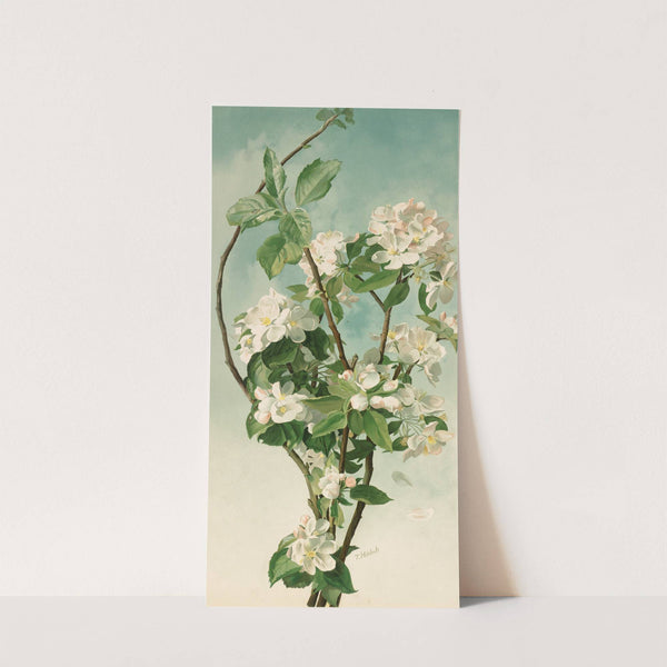 Apple Blossoms by Thaddeus Welch