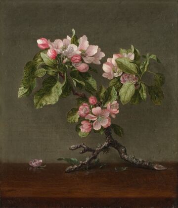 Apple Blossoms (1873)