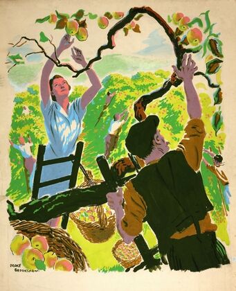 Apple picking