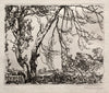 Apple Tree