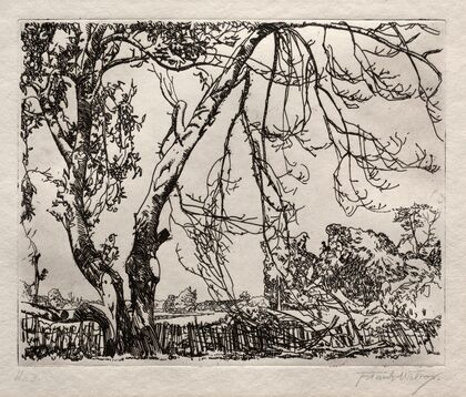 Apple Tree