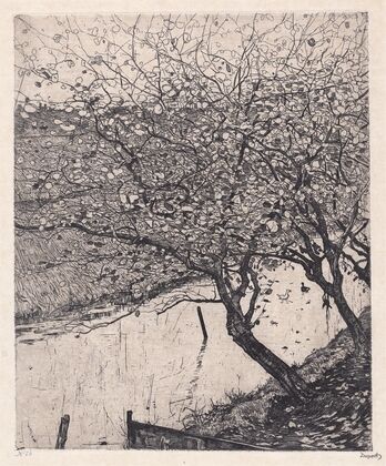 Apple Trees along the Side of a Ditch