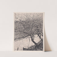 Apple Trees along the Side of a Ditch by Pieter Dupont