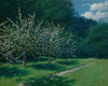 Apple-Trees in Bloom