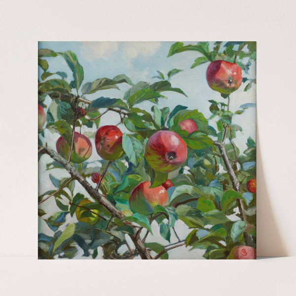 Apples by Ambroży Sabatowski