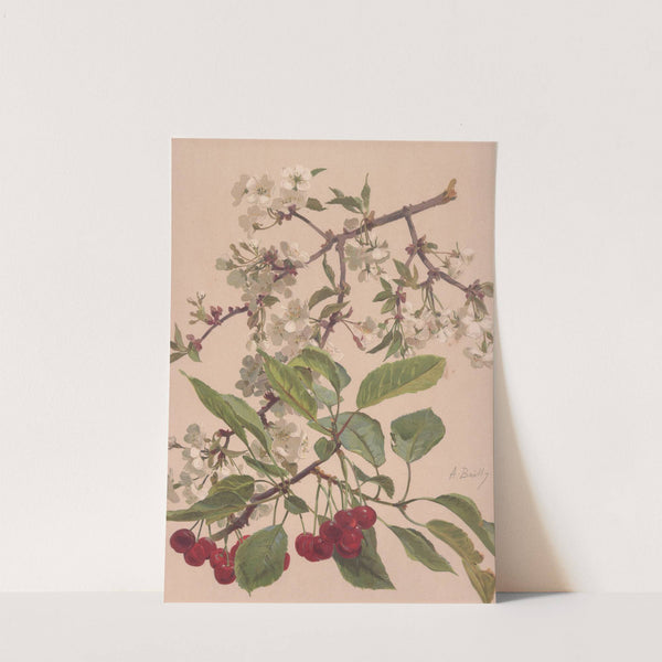 Aquarelle d&#039;une branche de cerisier by Alice Bailly