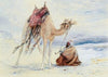 Arab with a Camel