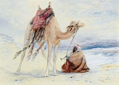Arab with a Camel