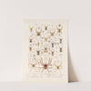 Arachnida Araneidea Pl 08 by Frederick DuCane Godman